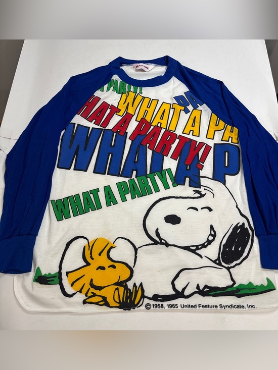 Peanuts Tops - Vintage Snoopy Woodstock Peanuts sleep shirt Tracy Anne